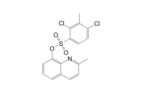 benzenesulfonic acid, 2,4-dichloro-3-methyl-, 2-methyl-8-quinolinylester