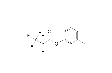 Pentafluoropropanoic acid, 3,5-dimethylphenyl ester