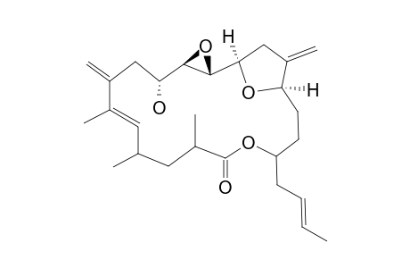 AMPHIDINOLIDE-K;SYNTHETIC-PRODUCT