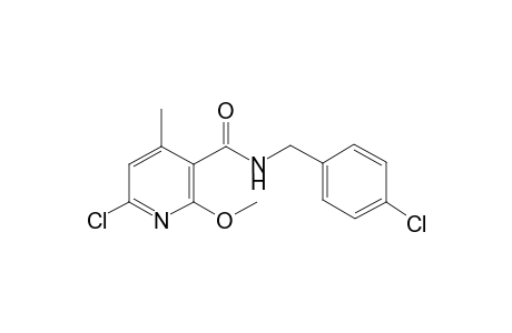 6-Chloranyl-N-[(4-chlorophenyl)methyl]-2-methoxy-4-methyl-pyridine-3-carboxamide