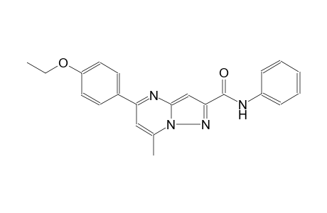 5-(4-ethoxyphenyl)-7-methyl-N-phenylpyrazolo[1,5-a]pyrimidine-2-carboxamide