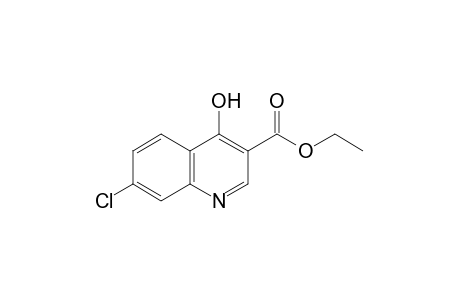7-chloro-4-hydroxy-3-quinolinecarboxylic acid, ethyl ester