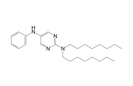 N2,N2 Dioctyl-N5-phenylpyrimidine-2,5-diamine