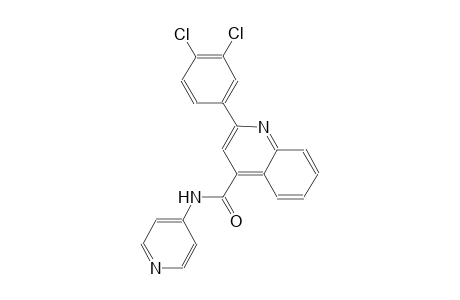 2-(3,4-dichlorophenyl)-N-(4-pyridinyl)-4-quinolinecarboxamide