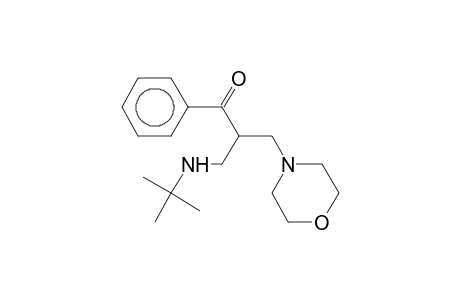 2-(tert-Butylamino-methyl)-3-morpholin-4-yl-1-phenyl-propan-1-one