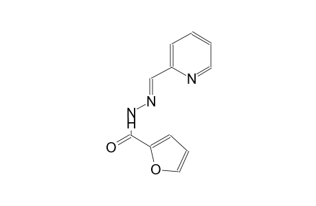 N'-[(E)-2-pyridinylmethylidene]-2-furohydrazide