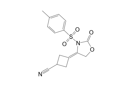 4-(3-Cyanocyclobutylidene)-3-p-toluenesulfonyloxazolidin-2-one
