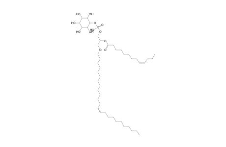 PI O-24:1_13:1