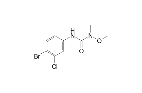 Chlorbromuron