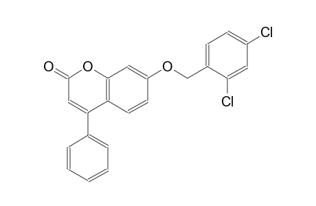 7-[(2,4-dichlorobenzyl)oxy]-4-phenyl-2H-chromen-2-one