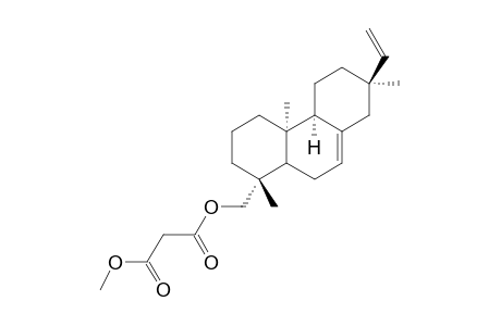 METHYL-19-MALONYLOXY-9-EPI-ENT-7,15-ISOPIMARADIENE