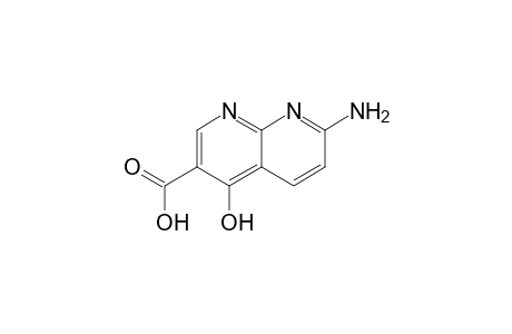 7-Amino-4-hydroxy-1,8-naphthyridine-3-carboxylic acid
