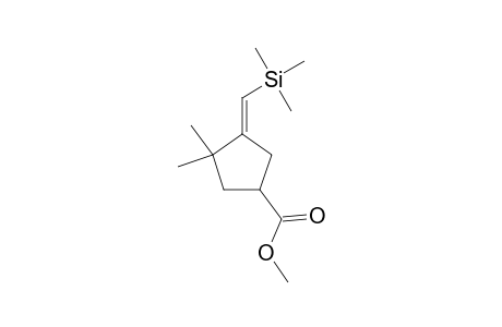 Cyclopentanecarboxylic acid, 4,4-dimethyl-3-trimethylsilylmethylene-, methyl ester