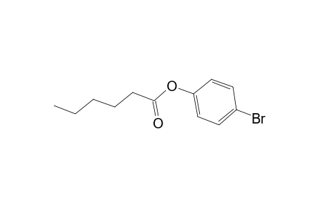 Hexanoic acid, 4-bromophenyl ester