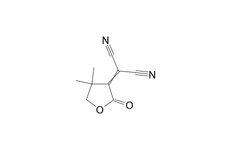 4,4-Dimethyl-2-oxo-tetrahydrofuran-3-methylendinitrile