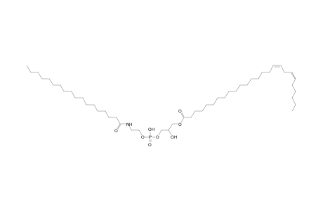 LNAPE 26:2/N-18:0