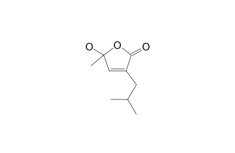 5-hydroxy-5-methyl-3-(2-methylpropyl)furan-2-one