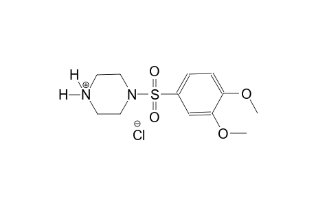 piperazinium, 1-[(3,4-dimethoxyphenyl)sulfonyl]-, chloride