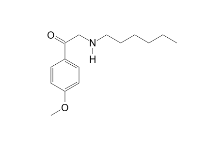 2-Hexylamino-4'-methoxyacetophenone