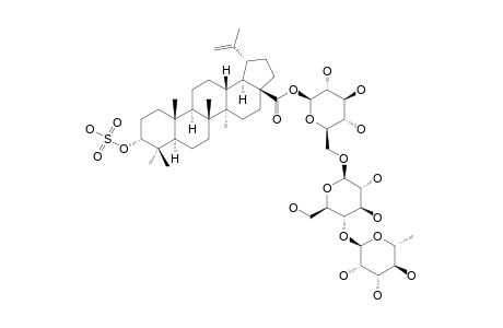 3-EPI-BETULINIC-ACID-3-O-SULPHATE-28-O-ALPHA-L-RHAMNOPYRANOSYL-(1->4)-O-BETA-D-GLUCOPYRANOSYL-(1->6)-BETA-D-GLUCOPYRANOSIDE