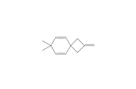 7,7-Dimethyl-2-methylenespiro[3.5]nona-3,5-diene