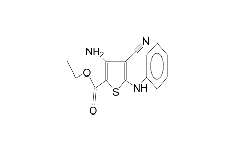 2-anilino-3-cyano-4-amino-5-ethoxycarbonylthiophene