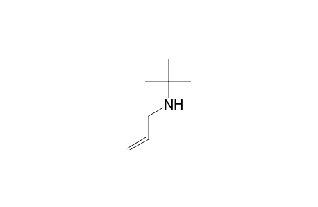 2-Propen-1-amine, N-(1,1-dimethylethyl)-