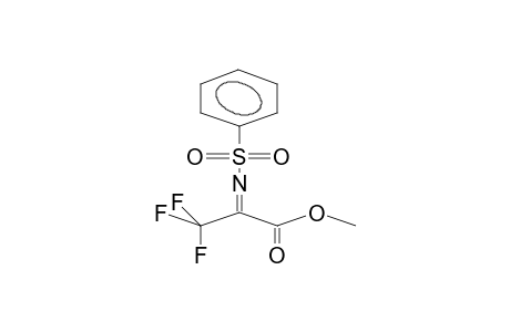 2-(BENZENESULPHONYLIMINO)-3,3,3-TRIFLUOROPROPANOIC ACID, METHYL ESTER