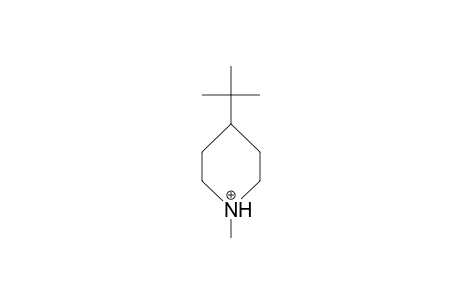 1-Methyl-4-tert-butyl-piperidinium cation