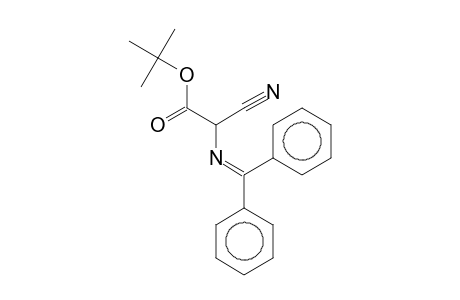 Benzhydrylideneaminocyanoacetic acid, t-butyl ester