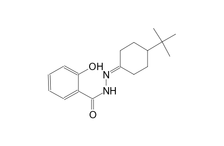 N'-(4-tert-butylcyclohexylidene)-2-hydroxybenzohydrazide