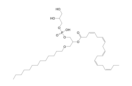 PG O-13:0_18:5