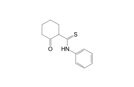 2-oxo-N-phenyl-cyclohexanecarbothioamide