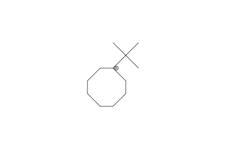 1-tert-Butyl-cyclooctyl cation
