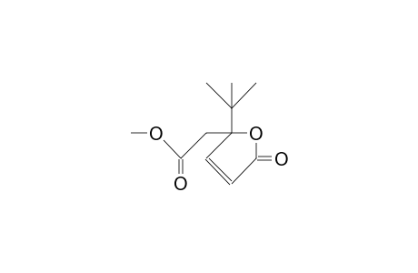 5-Carbomethoxymethyl-5-tert-butyl-oxa-cyclopent-3-en-2-one