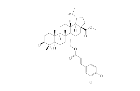 METHYL_27-O-TRANS-CAFFEOYL-CYLICODISCATE