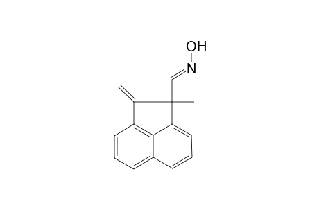 (1E)-1-methyl-2-methylene-1-acenaphthylenecarboxaldehyde oxime