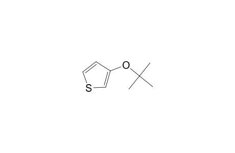 Thiophene, 3-(1,1-dimethylethoxy)-
