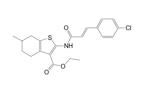 benzo[b]thiophene-3-carboxylic acid, 2-[[(2E)-3-(4-chlorophenyl)-1-oxo-2-propenyl]amino]-4,5,6,7-tetrahydro-6-methyl-, ethyl ester