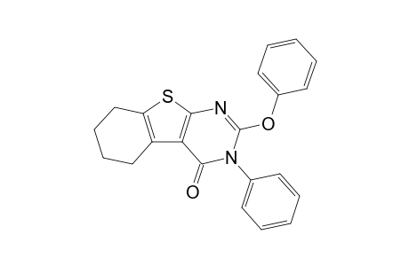 2-(Phenyloxy)-3-phenyl-5,6,7,8-tetrahydrobenzothieno[2,3-d]pyrimidin-4(3H)-one