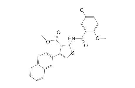 methyl 2-[(5-chloro-2-methoxybenzoyl)amino]-4-(2-naphthyl)-3-thiophenecarboxylate