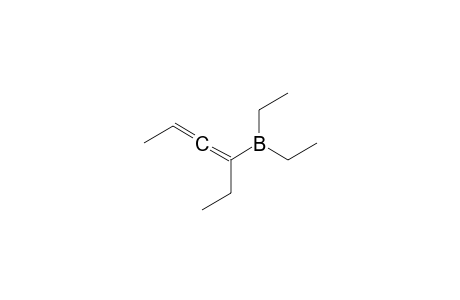 Diethyl(1-ethyl-1,2-butadienyl)borane