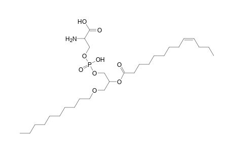 PS O-10:0_13:1