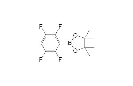 4,4,5,5-tetramethyl-2-(2,3,5,6-tetrafluorophenyl)-1,3,2-dioxaborolane