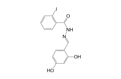 N'-[(E)-(2,4-Dihydroxyphenyl)methylidene]-2-iodobenzohydrazide