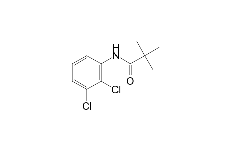 2',3'-Dichloro-2,2,2-trimethylacetanilide