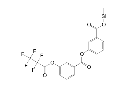 3-Pentafluoropropionyloxybenzoic acid, 3-(trimethylsilyloxycarbonyl)phenyl ester