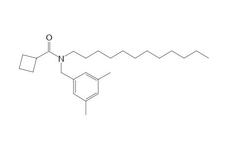 Cyclobutanecarboxamide, N-(3,5-dimethylbenzyl)-N-dodecyl-