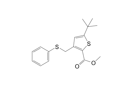5-tert-butyl-3-[(phenylthio)methyl]-2-thiophenecarboxylic acid, methyl ester
