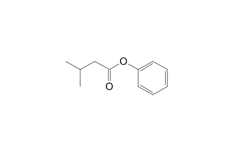 1,1-Dimethyl-2-[phenoxycarbonyl]ethane